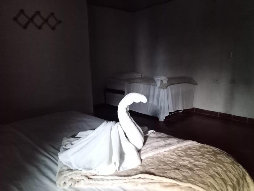 Hotel Central Graciela Валье-де-Сан-Хосе Экстерьер фото